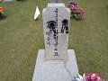 2013 memorial_dj12